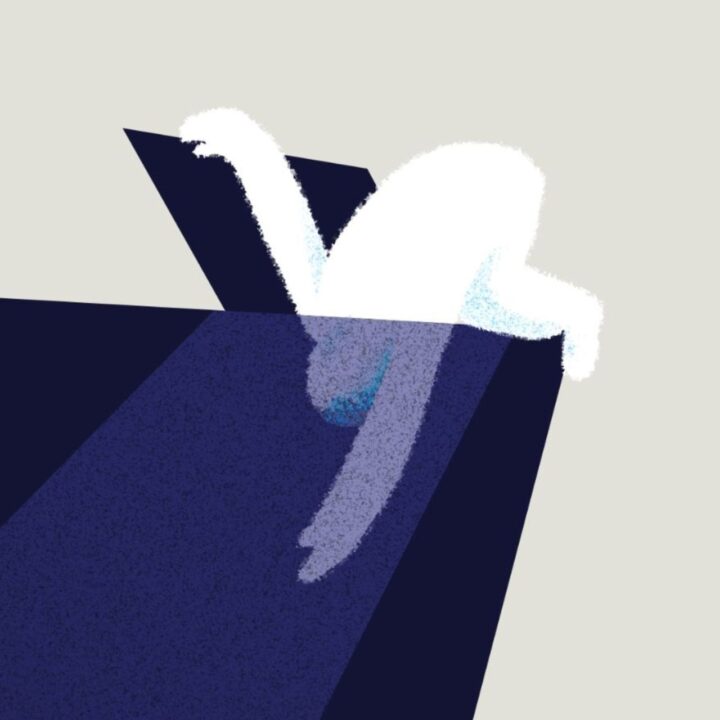 Animationsfilm Bfm Mbn