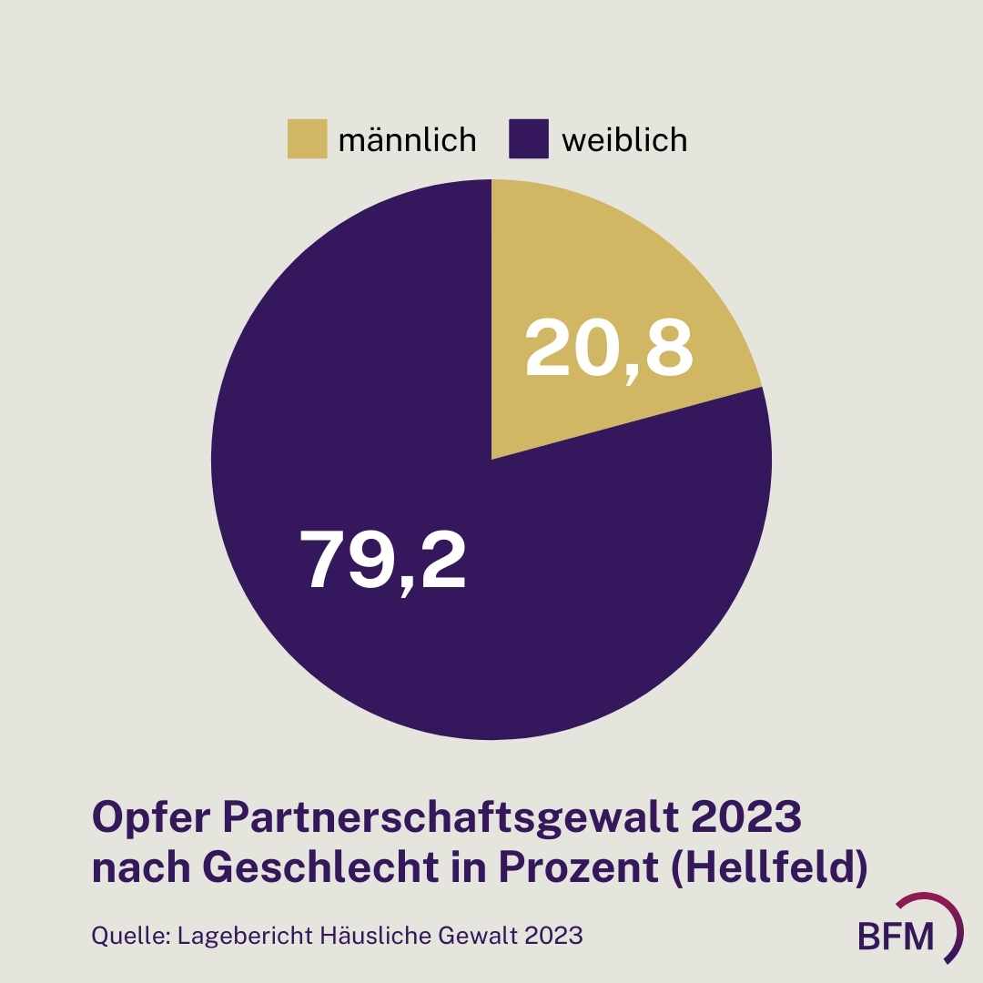 Opfer Partnerschaftsgewalt Nach Geschlecht