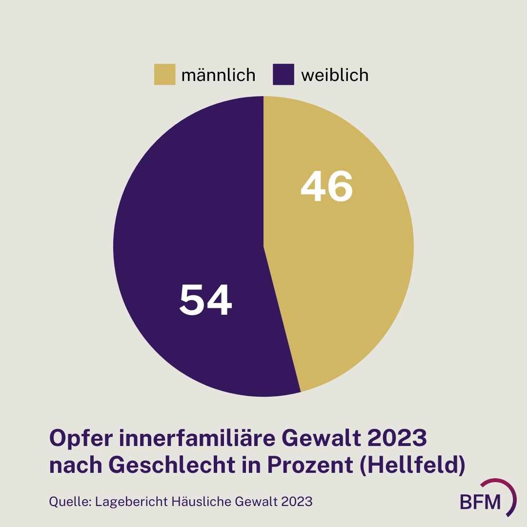 Opfer Innerfamiliaere Gewalt 2023