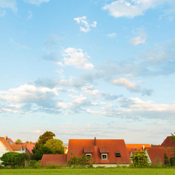 Homepage bfm 2025 beitragsbilder(12)